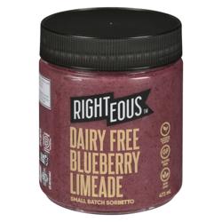 Righteous Blueberry Limeade Dairy Free Sorbetto